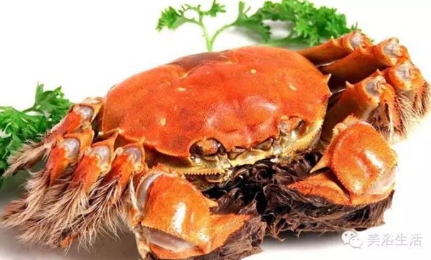 ԡÂĴlззSʳзȯзë